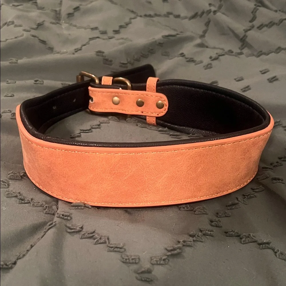 Classic Leather Dog Collar – Large to X-Large, Durable & Stylish